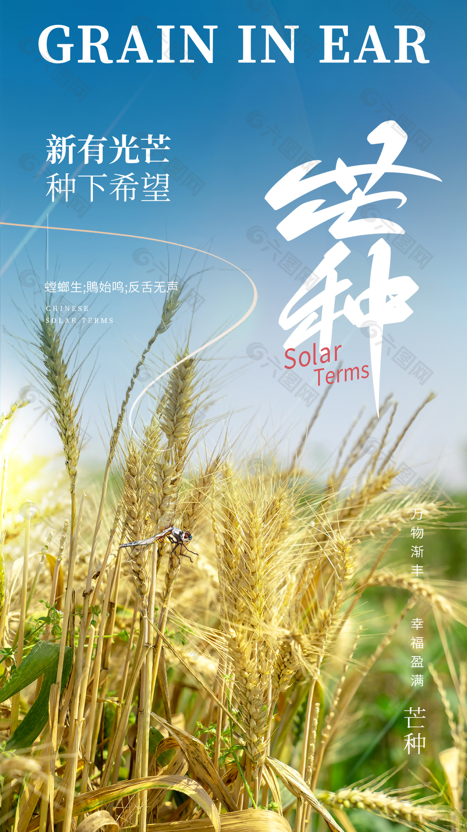 心有光芒中下希望芒種節氣麥田海報