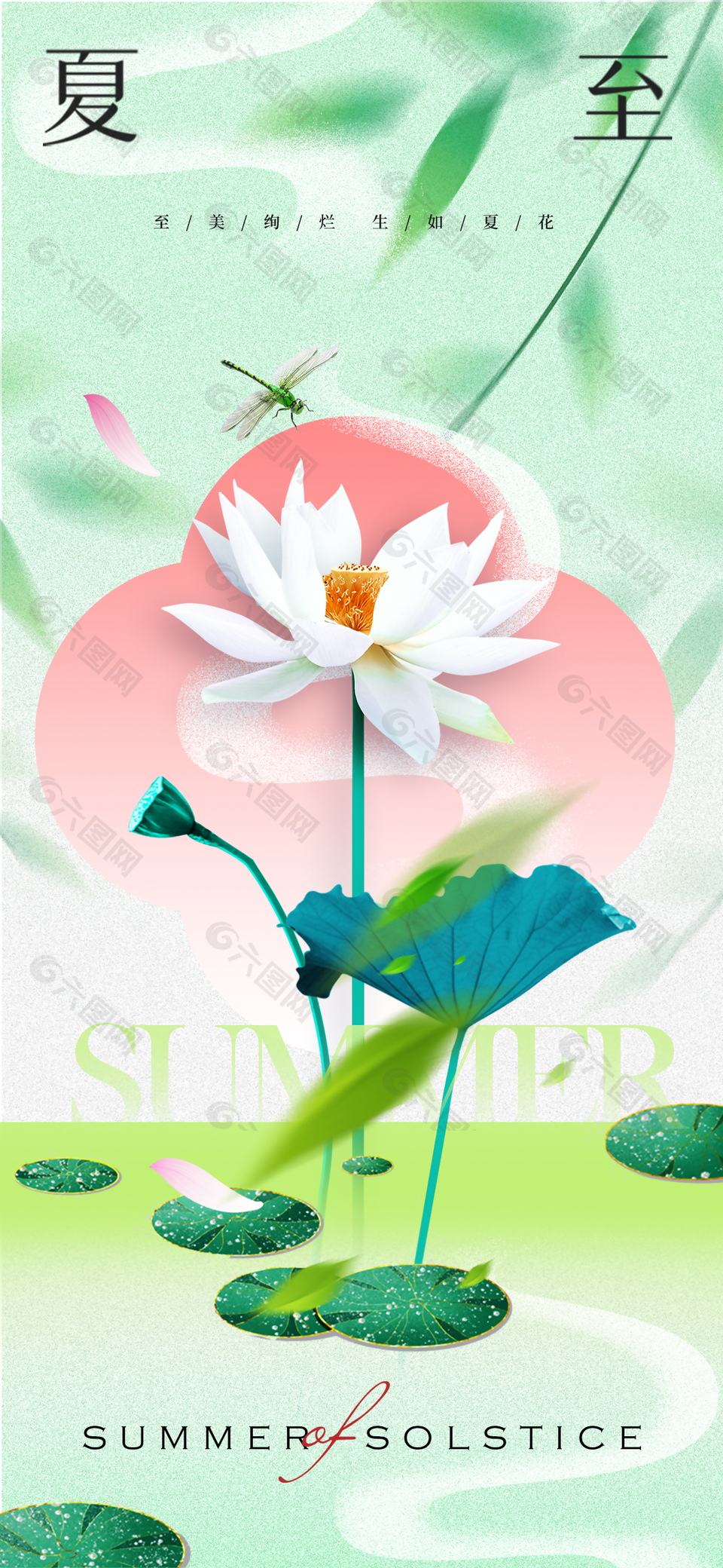 夏至節(jié)氣荷塘美景主視覺清新海報(bào)
