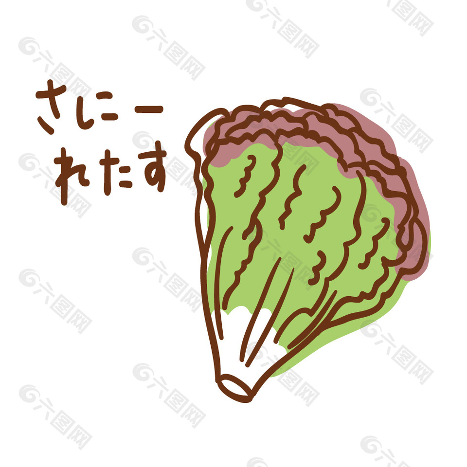 日式卡通生菜插畫