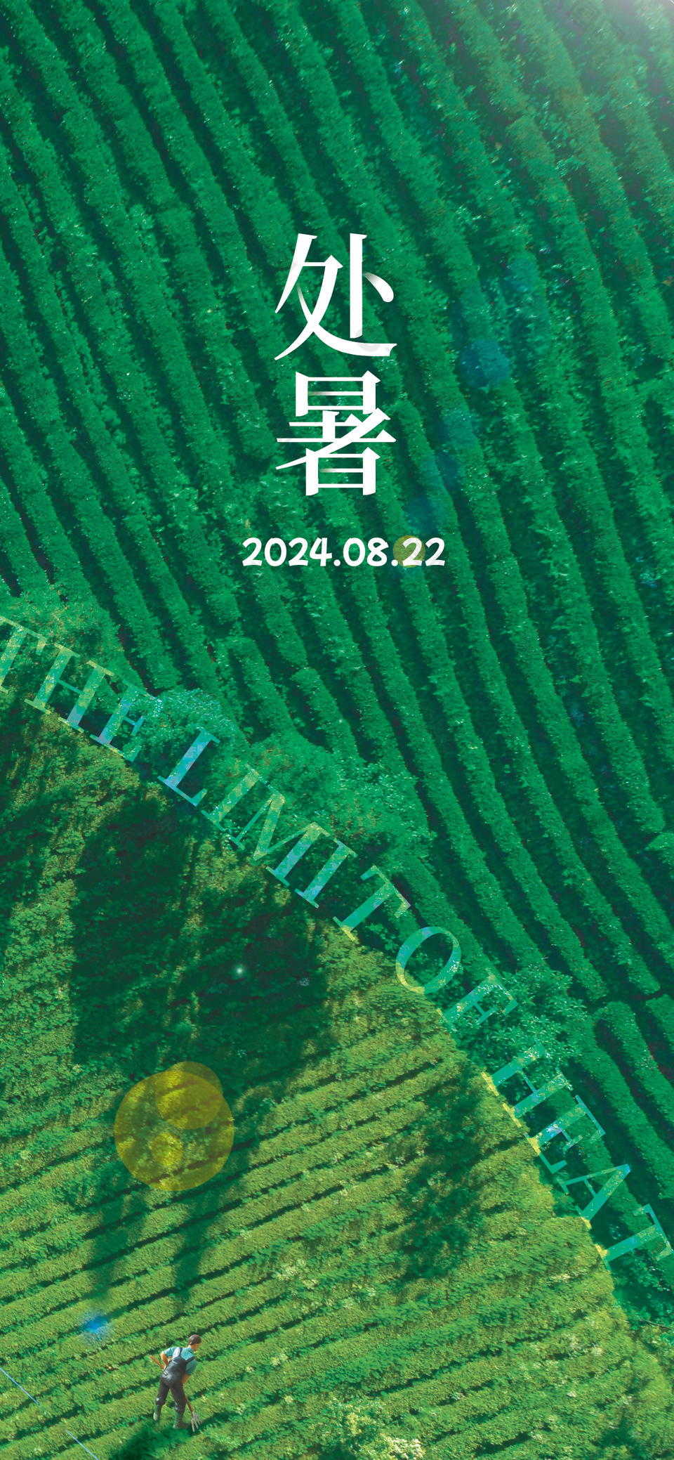 創(chuàng)意綠色簡約梯田背景處暑節(jié)氣海報(bào)