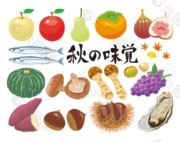 趣味手繪風秋日味覺瓜果主題裝飾圖案設計