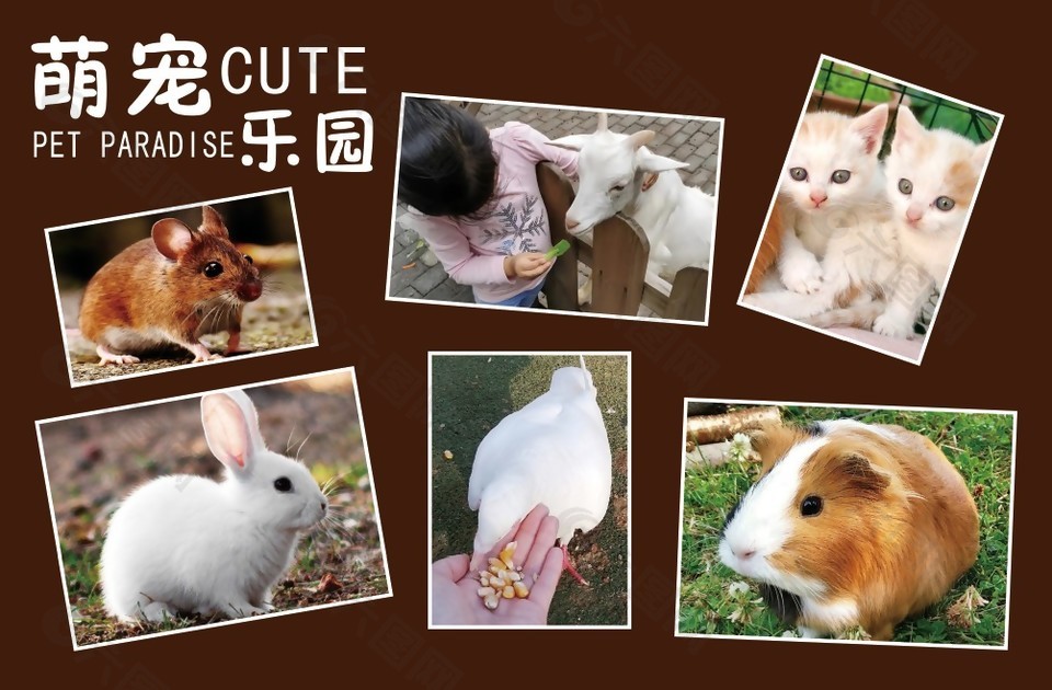 簡約萌寵樂園兒童照片合集