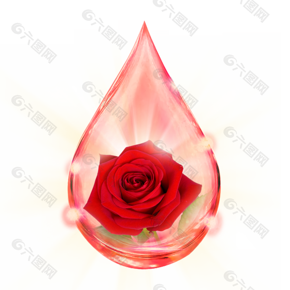 簡(jiǎn)約浪漫紅玫瑰主題圖案設(shè)計(jì)