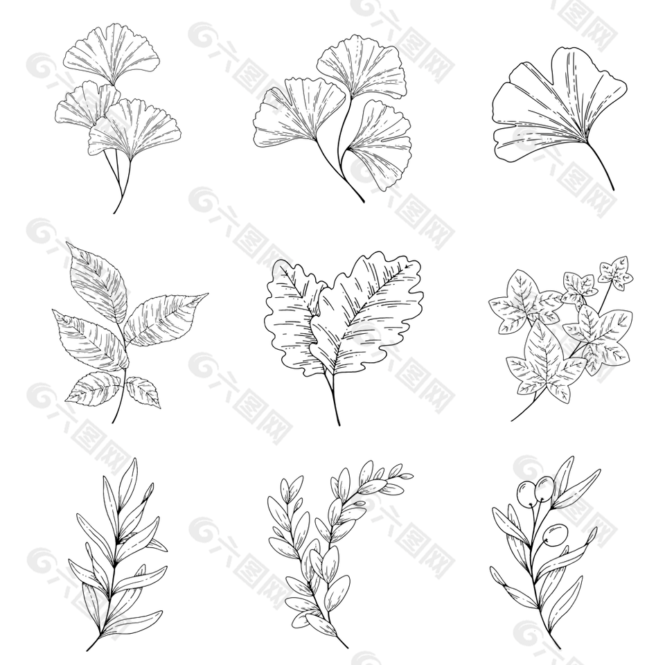 簡約黑白植物葉子線稿圖片設計元素