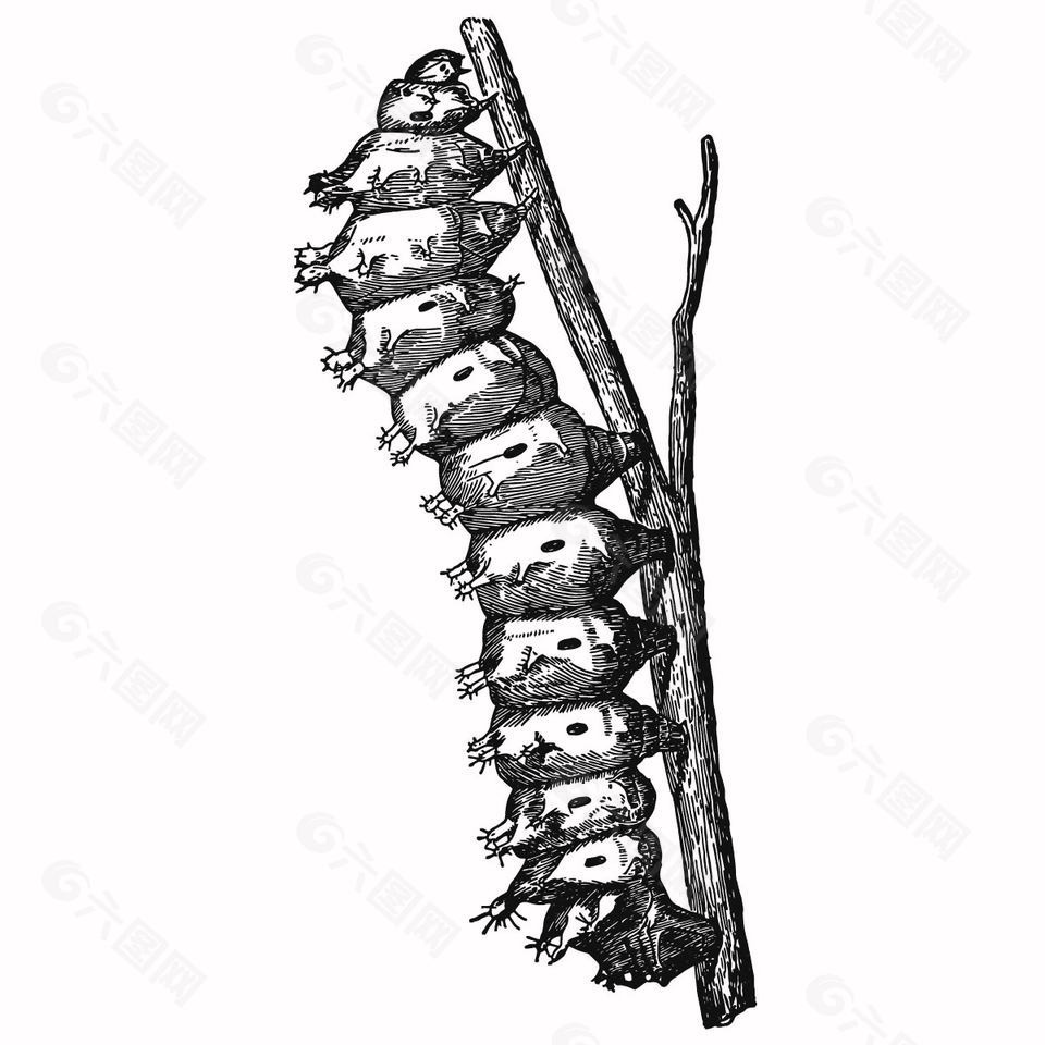 復(fù)古風(fēng)樹枝上的毛毛蟲插畫