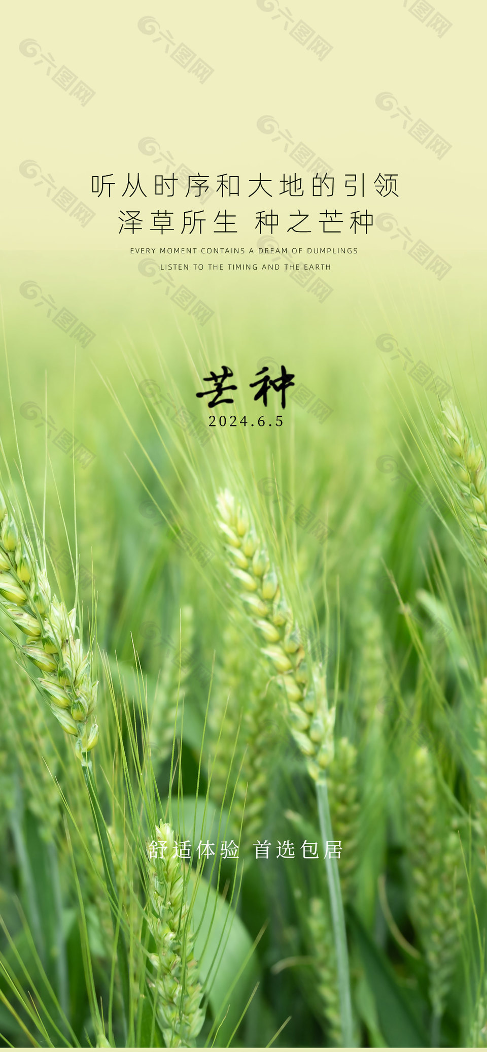 澤草所生種之芒種綠色實景地產(chǎn)海報