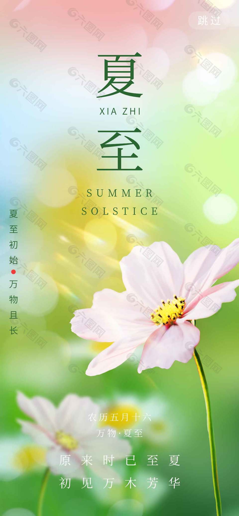 原來時已至夏初見萬木芳華花卉背景