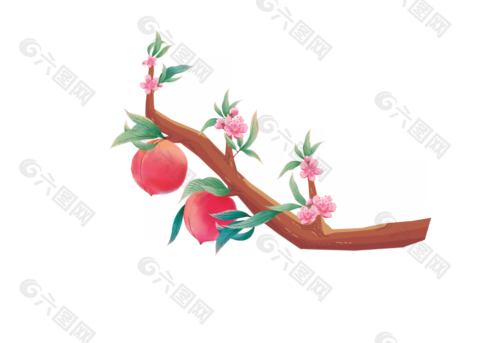 桃花花枝桃子插畫