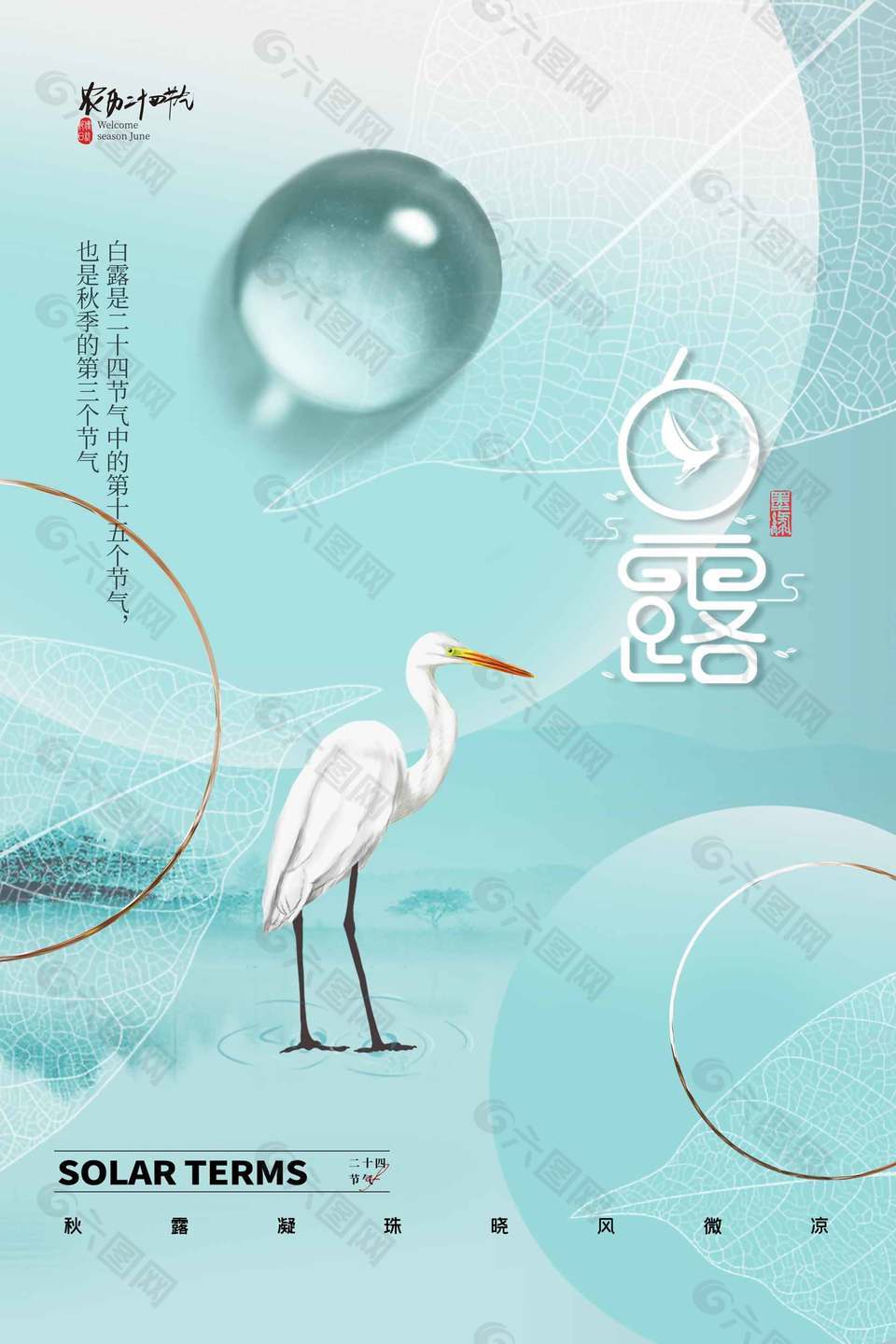 秋露凝珠传统二十四白露节气海报
