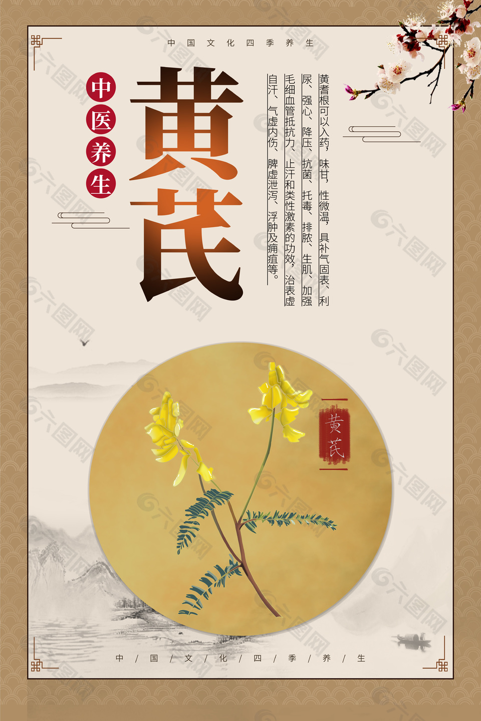 中醫(yī)養(yǎng)生藥材黃芪藥理知識(shí)海報(bào)