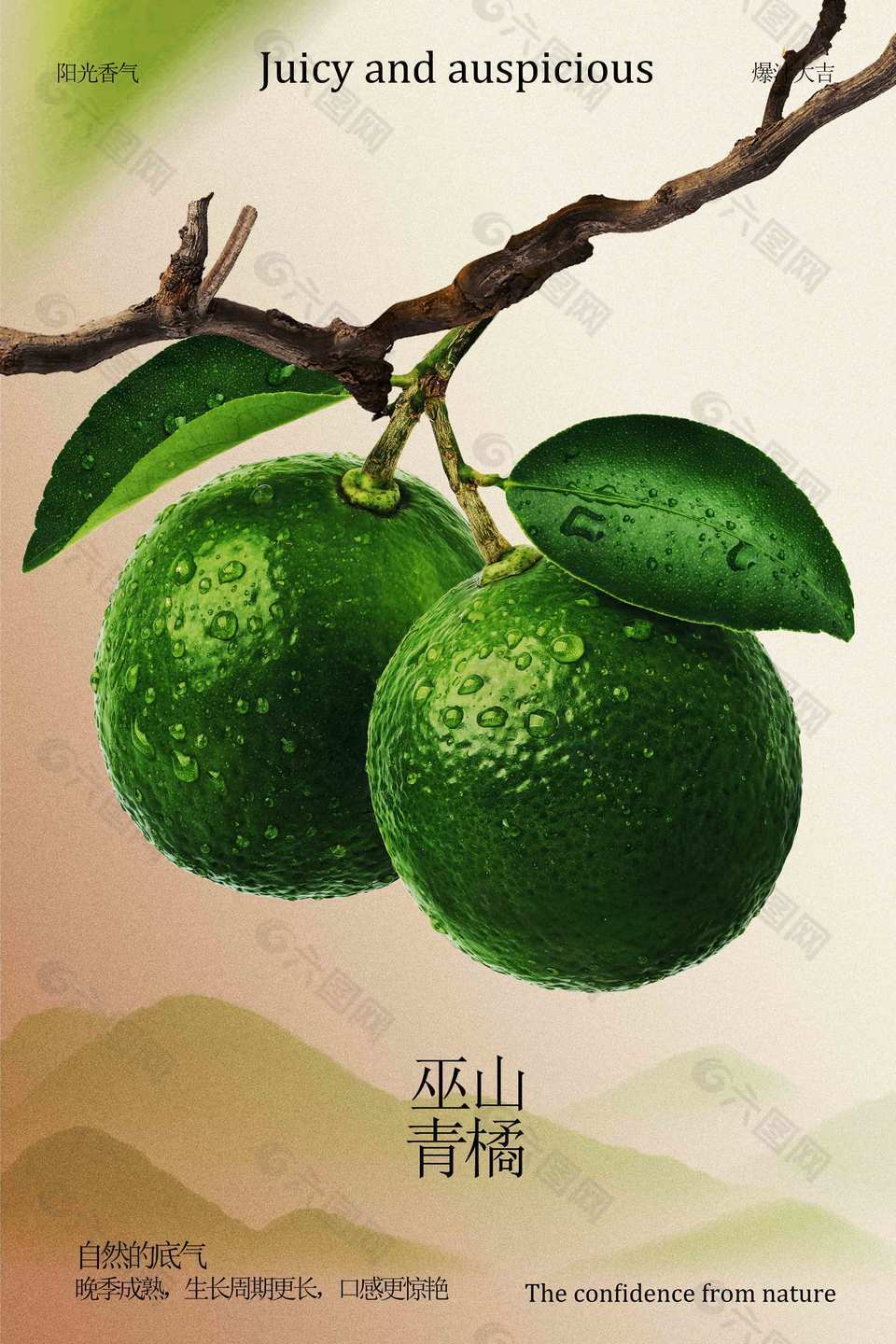 山景背景巫山青橘宣傳水果海報設計