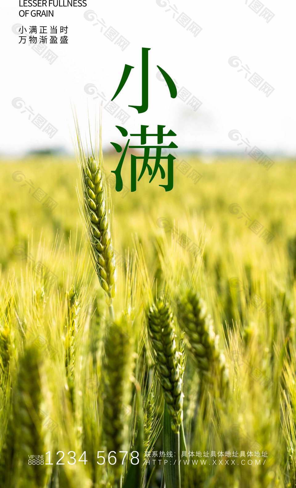 小滿正當(dāng)時(shí)田野攝影圖背景簡(jiǎn)約海報(bào)