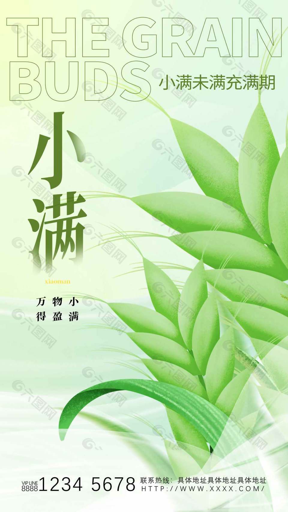 小滿節(jié)氣綠色麥穗插畫簡約宣傳海報