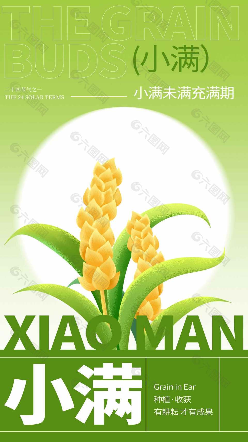 種植收獲小滿節(jié)氣宣傳綠色創(chuàng)意海報(bào)