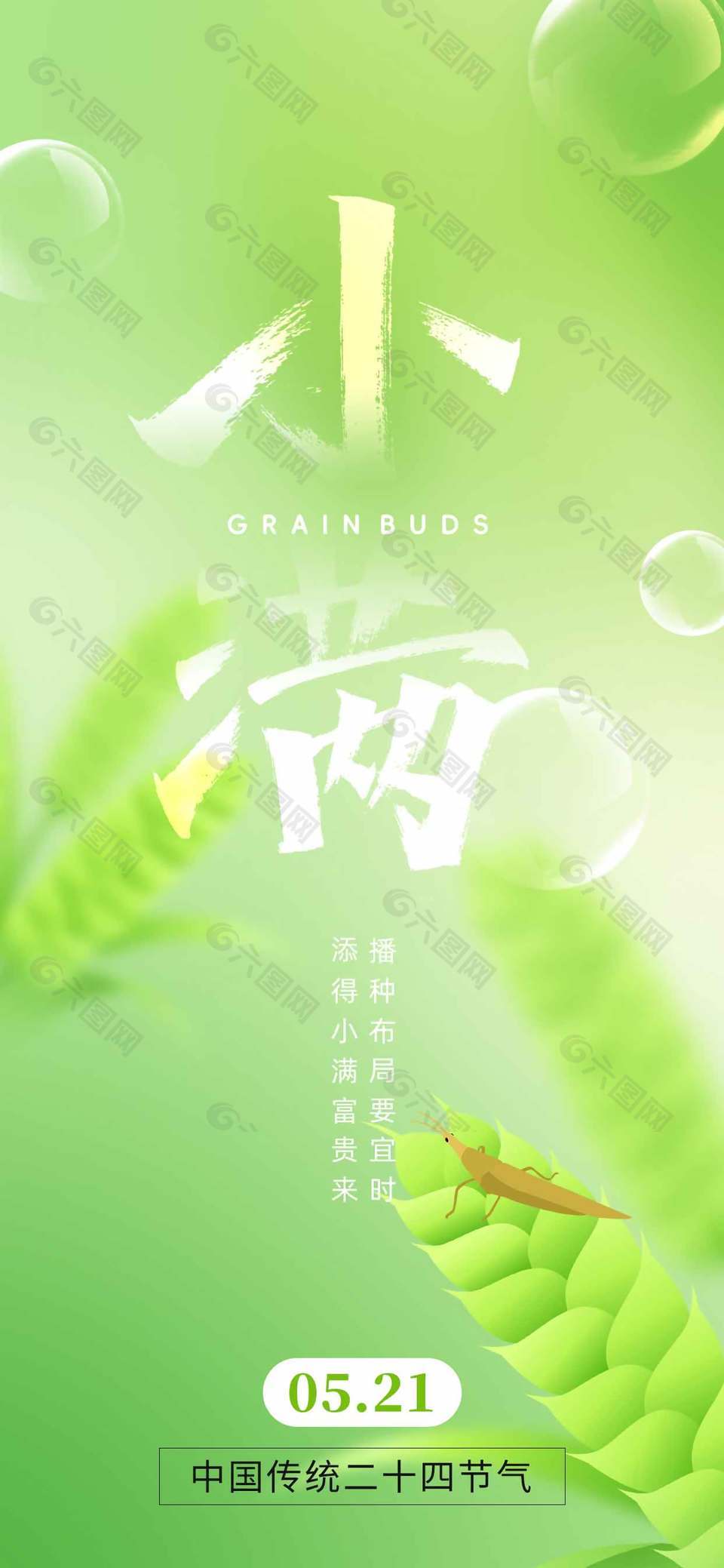 傳統(tǒng)小滿節(jié)氣綠色彌散風(fēng)背景海報