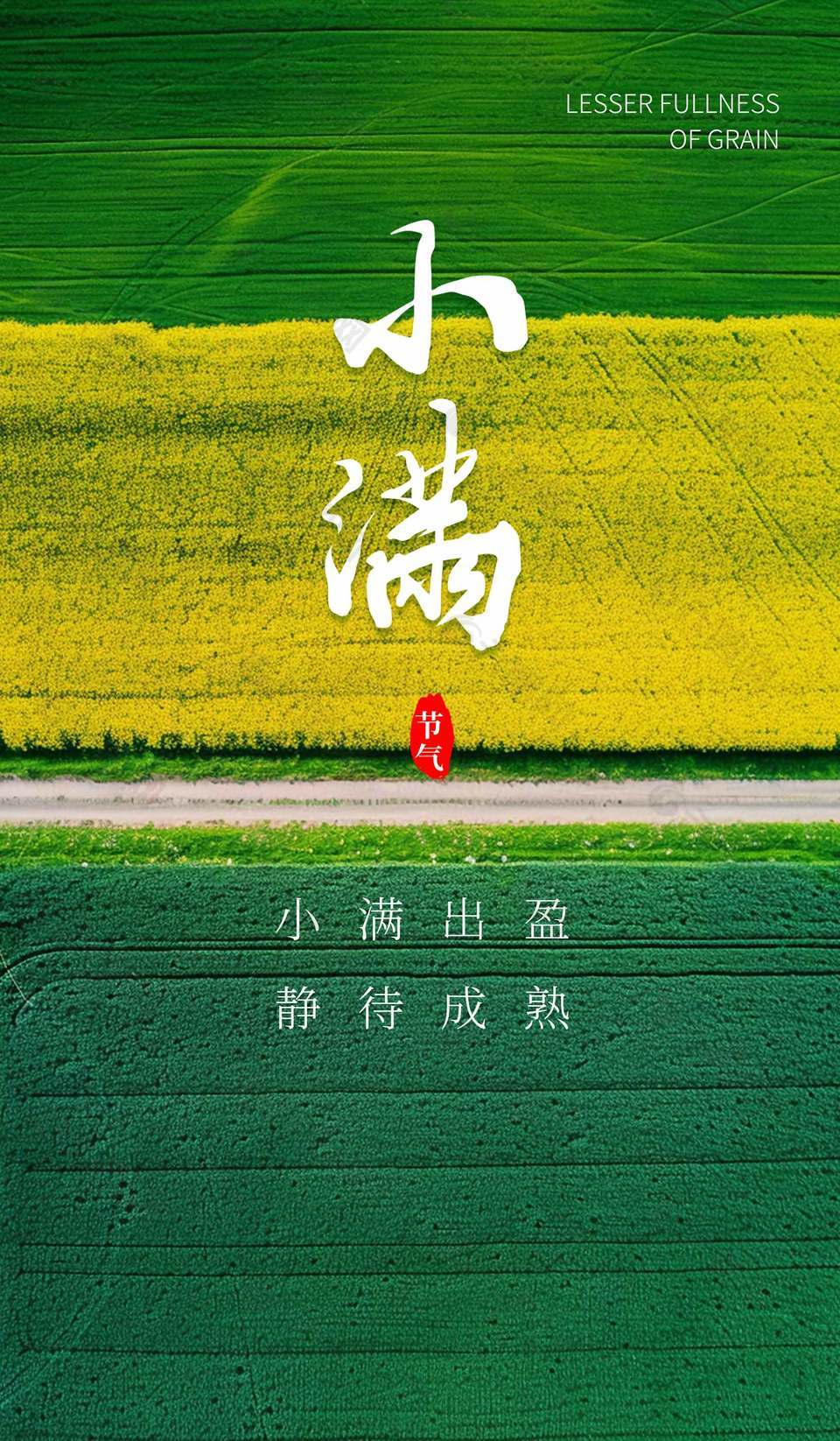 小滿出盈田野背景攝影風(fēng)海報(bào)設(shè)計(jì)