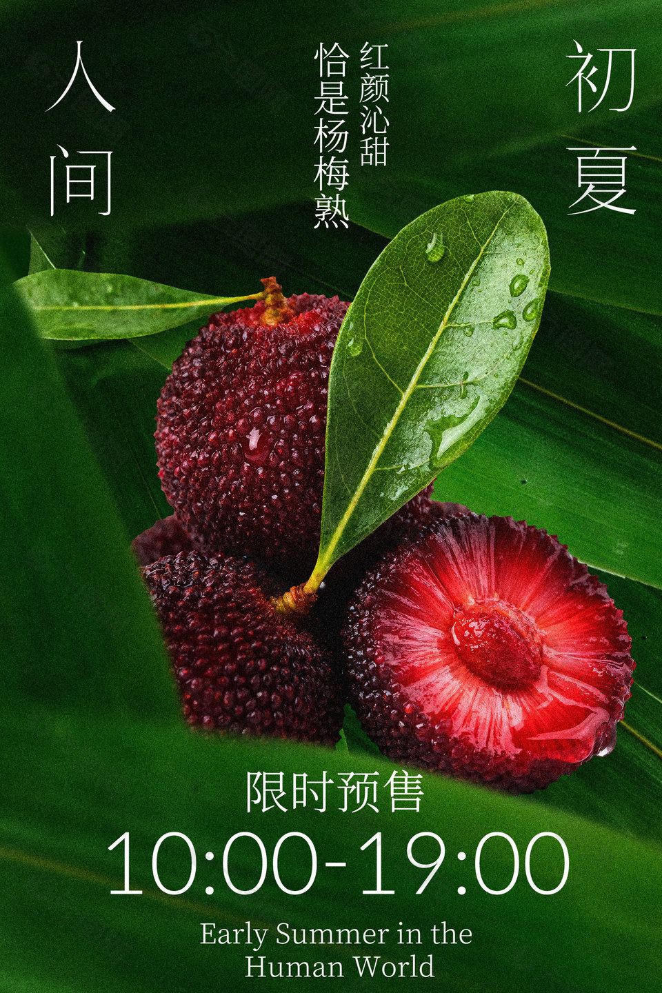 初夏新鮮楊梅上市預售海報設計