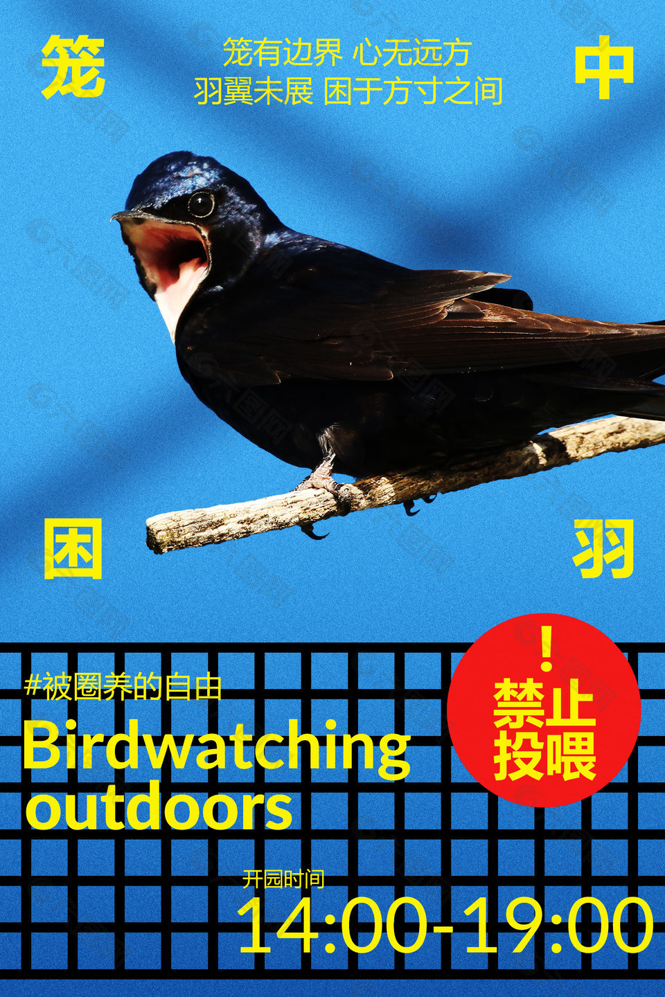 籠中困羽觀賞飛鳥活動(dòng)海報(bào)