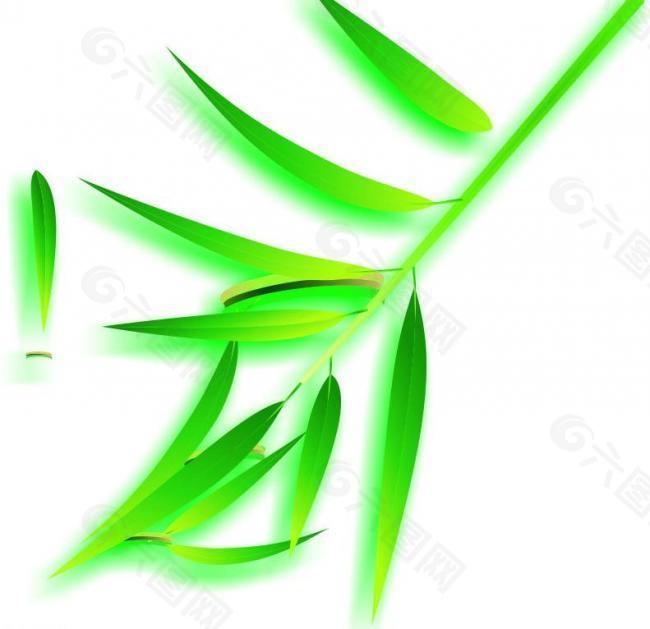 竹叶图片