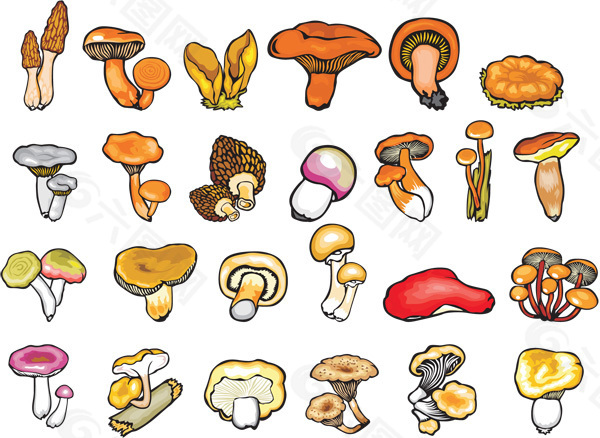 各种手绘蘑菇