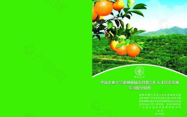 华南农业大学柑橘封面图片