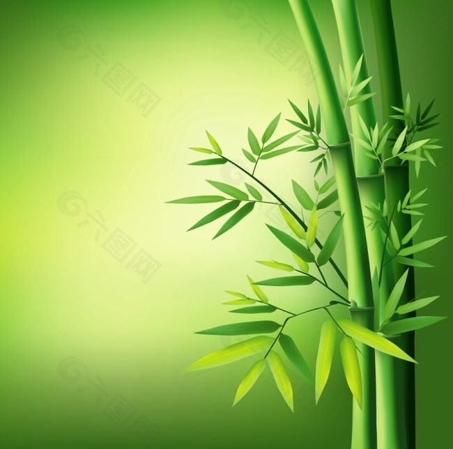 翠绿枝叶竹子矢量素材