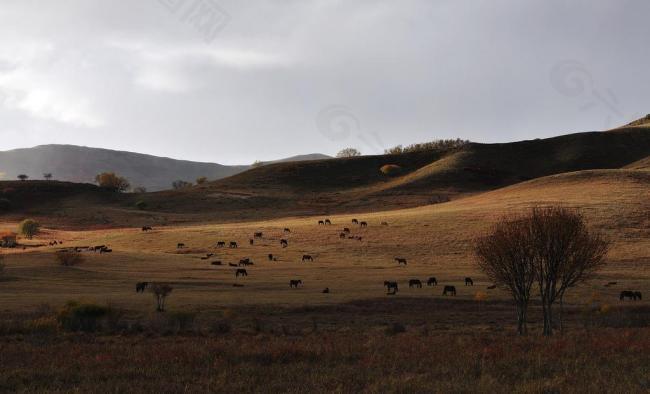内蒙古 风景图片
