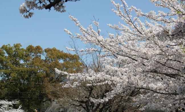 日本风景图片