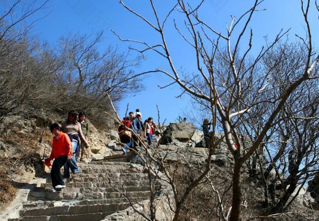 北京三月香山图片