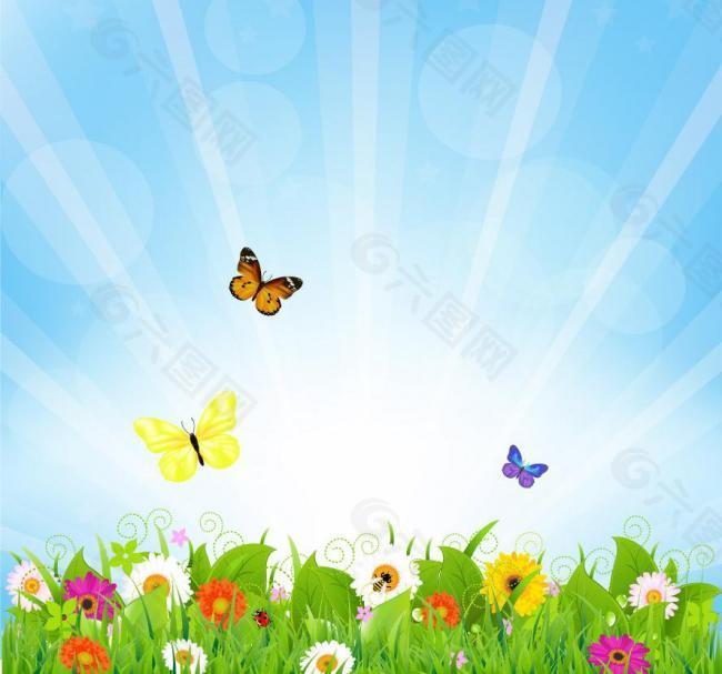 草地鲜花蝴蝶 春天背景图片