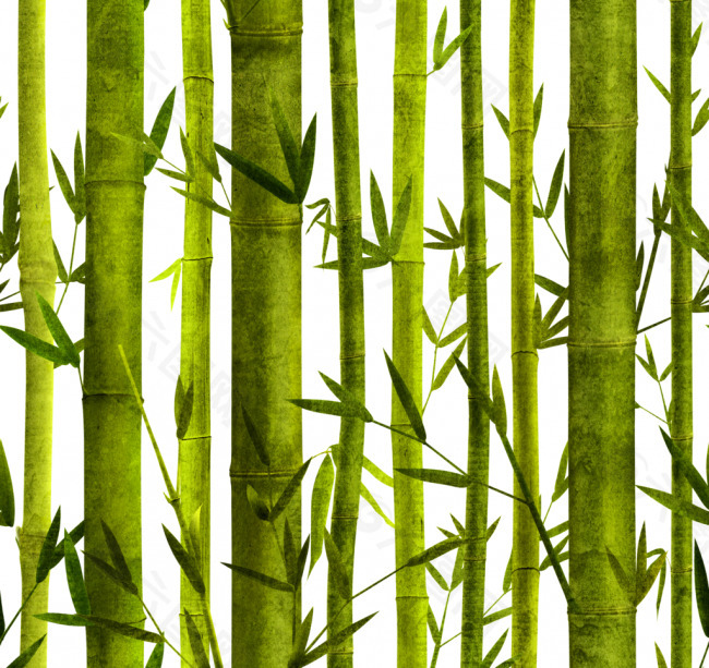 花纹 竹子设计图片