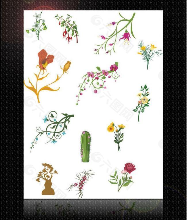 花纹 底纹 植物图片
