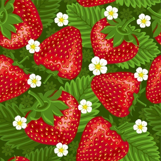 草本植物草莓
