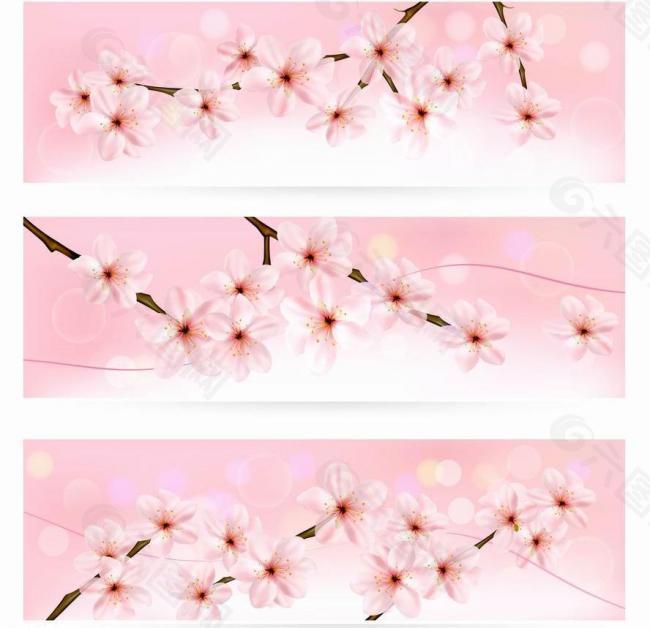 春天樱花背景 横幅图片