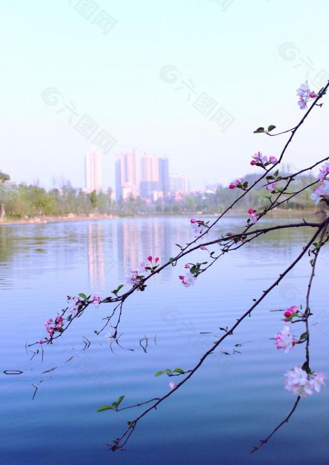 湖面的春天图片