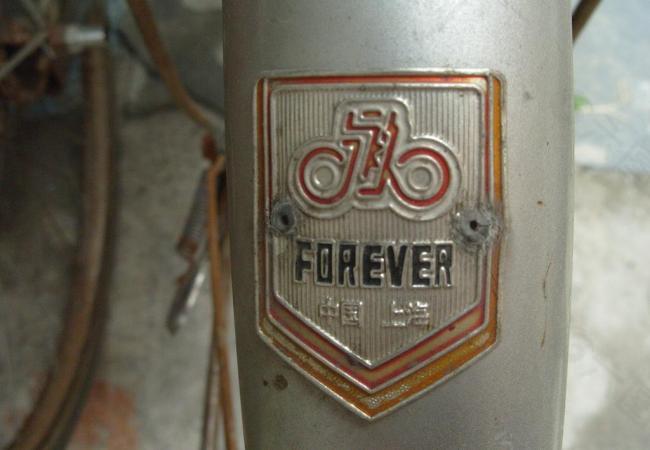 永久牌单车 logo图片