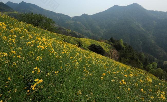 石潭村图片