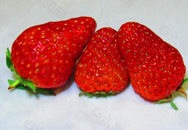 草莓家庭图片