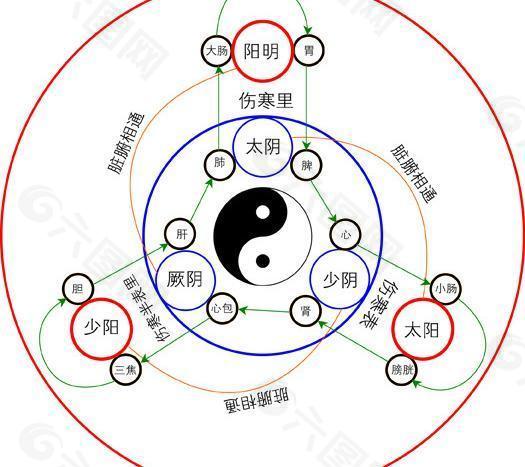 十二经络养生图片