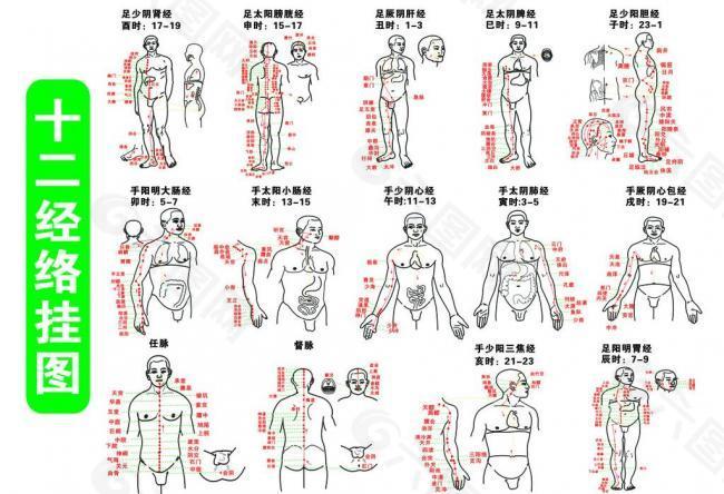 养生经络图图片