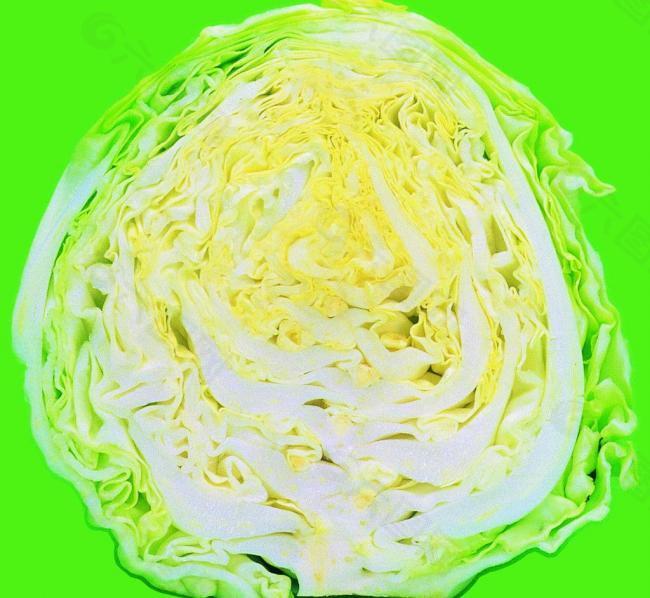 蔬菜之黄芽白图片
