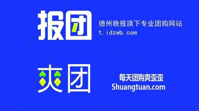 报团爽团logo图片