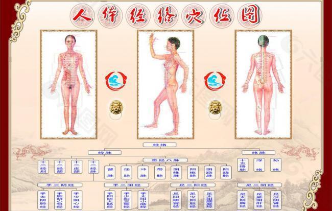 人体经络穴位图图片