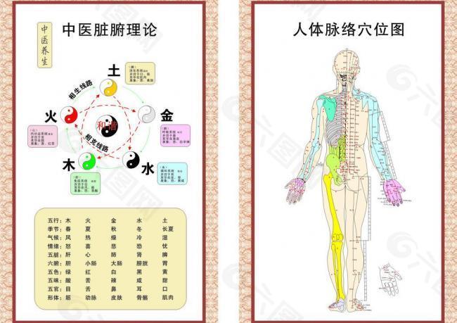 中医脏腑理 人体脉络图片