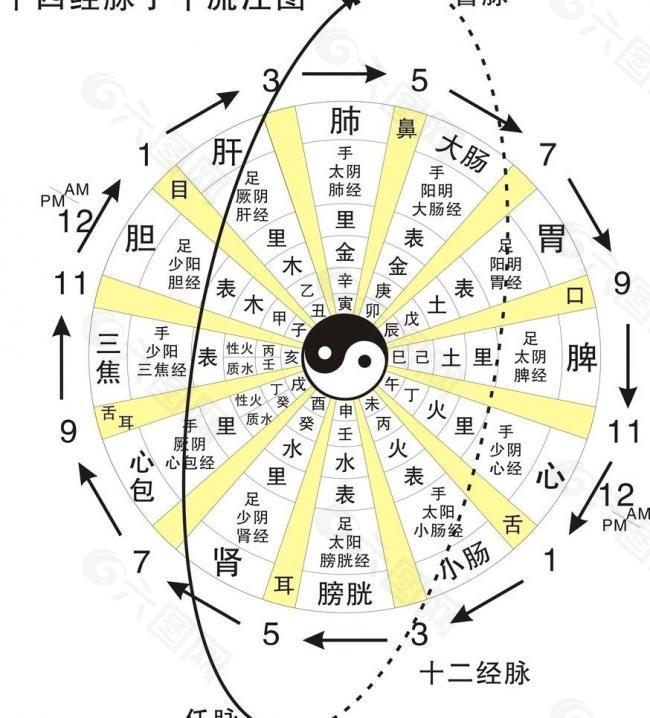 十四经脉流注图图片