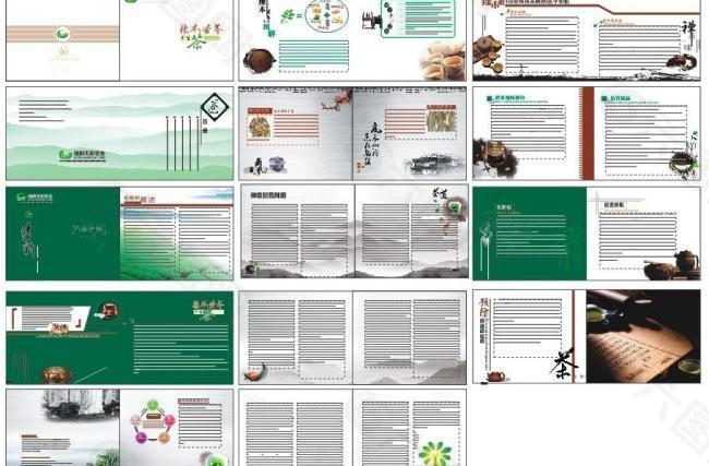 辣木苦荞画册图片