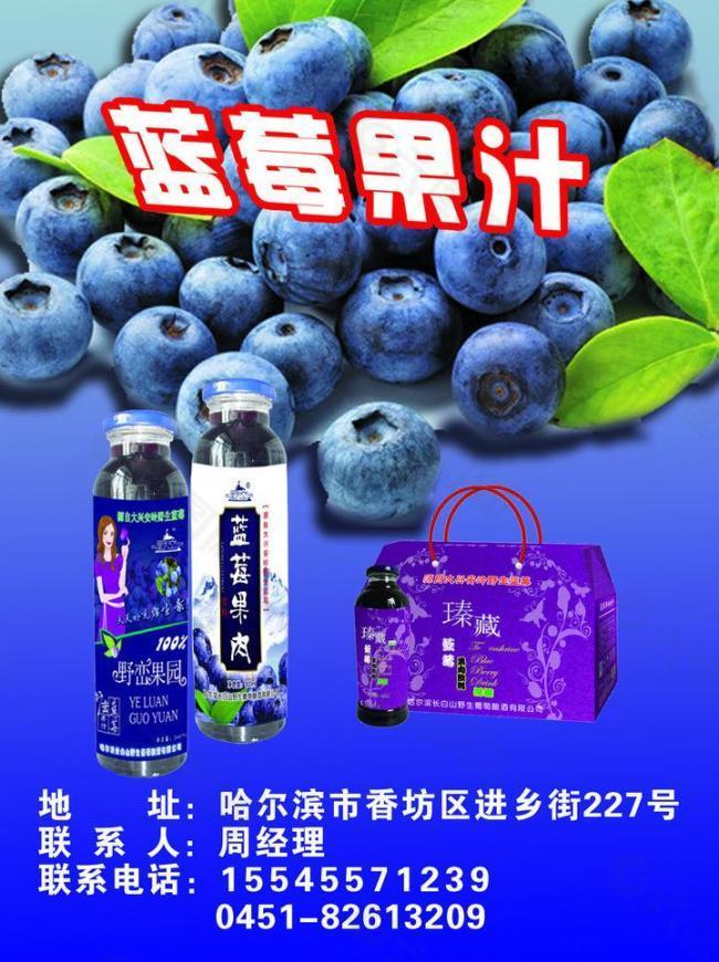蓝莓果汁彩页图片