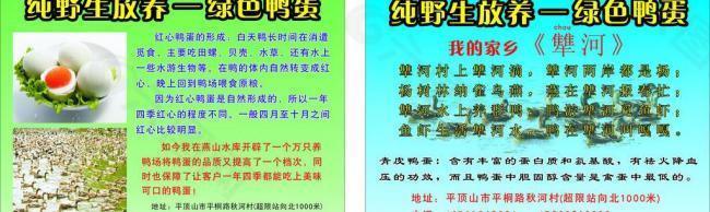 鸭蛋彩页图片