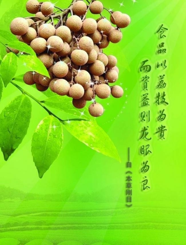 龙眼广告彩页图片