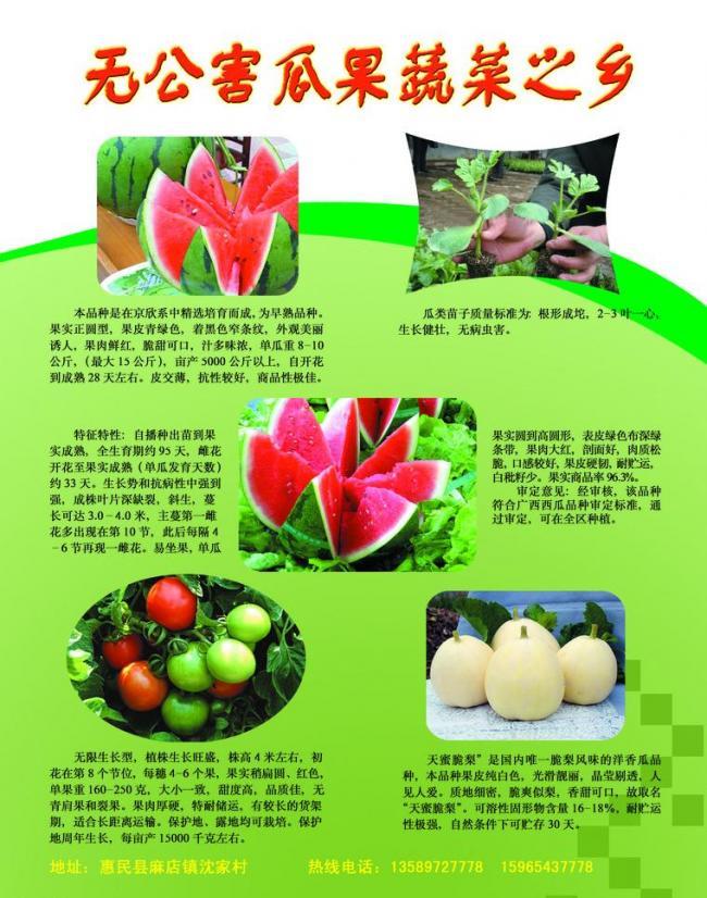 蔬菜之乡彩页图片